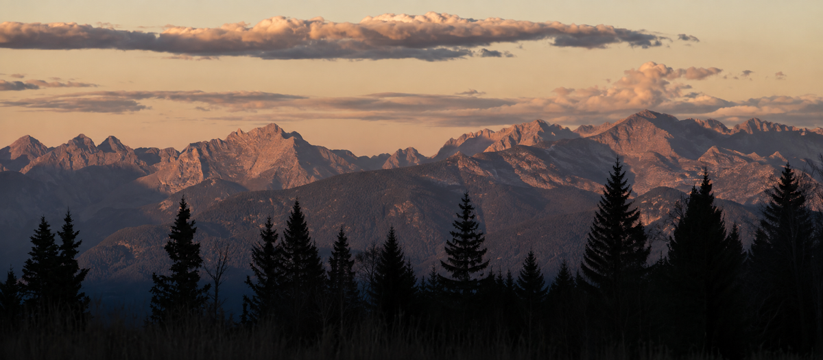 The Camping Gear Guide
