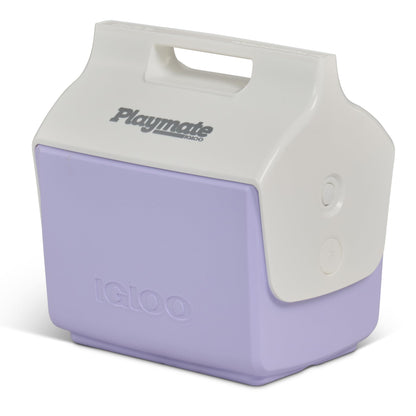 Insulated Hard Shell Cooler Chest for Outdoor Use