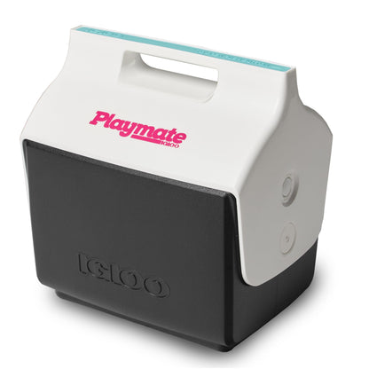 Insulated Hard Shell Cooler Chest for Outdoor Use