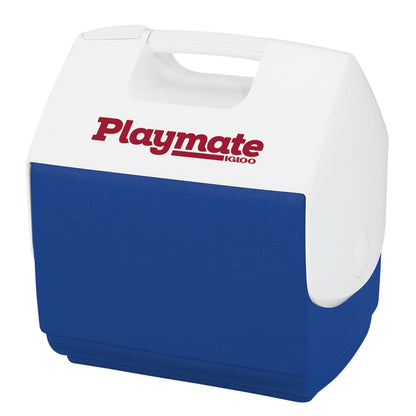 Insulated Hard Shell Cooler Chest for Outdoor Use