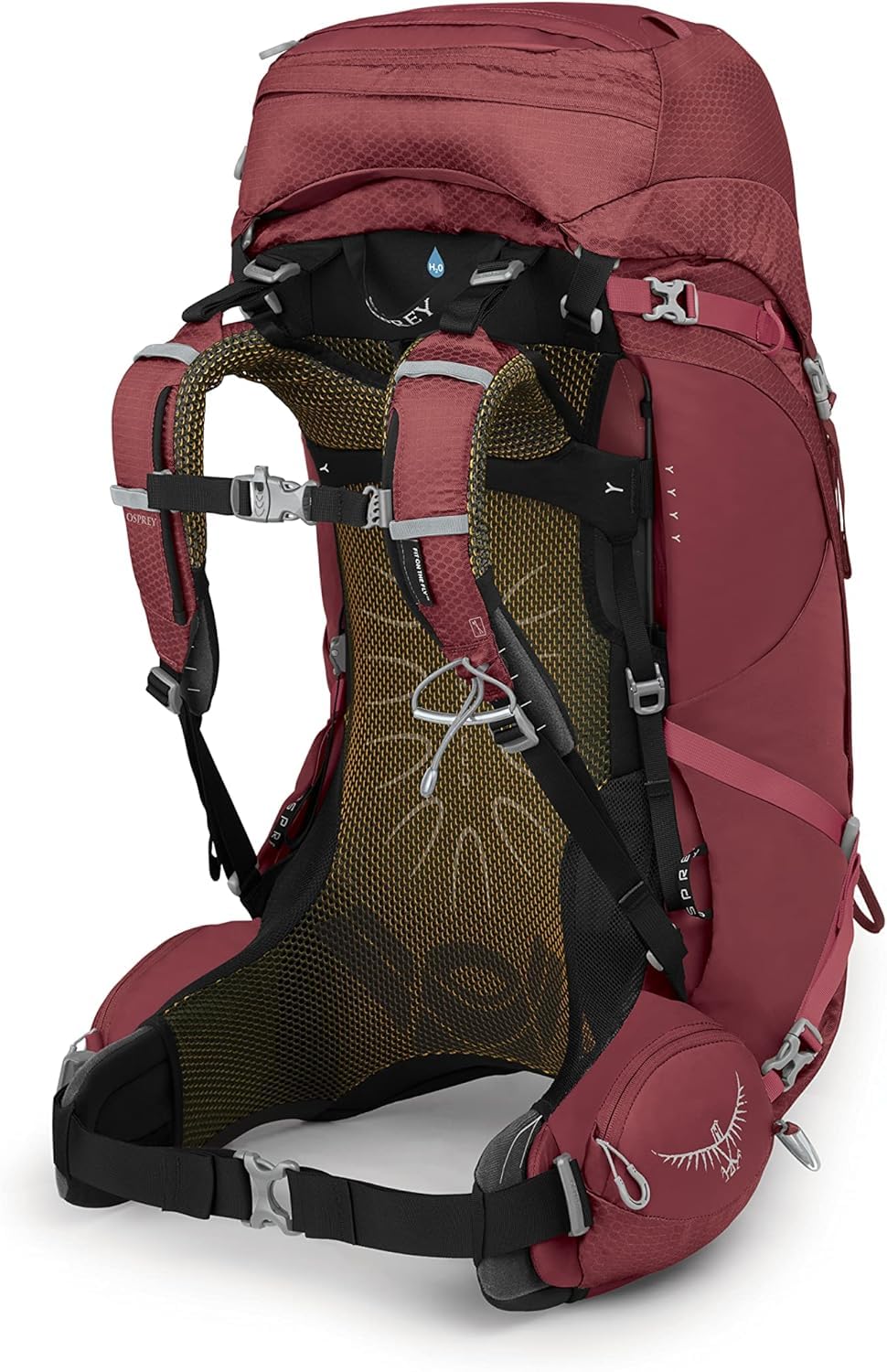 Adjustable Fit Hiking Backpack with Rain Cover