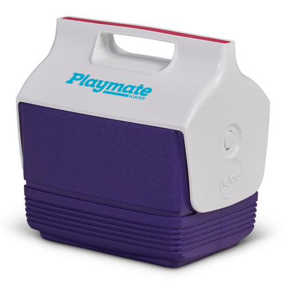 Insulated Hard Shell Cooler Chest for Outdoor Use